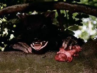 Оборотень гоняется за полуголой девушкой а догнав насилует ее