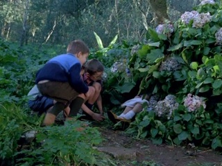 Сняла трусики и показала мальчишкам письку